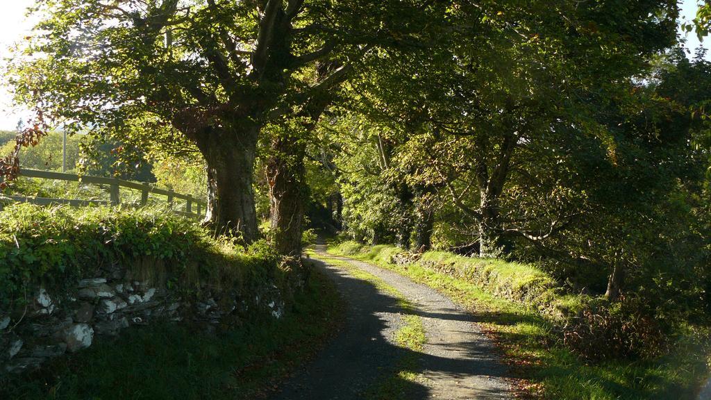 Roberts' Cottage Westport Exteriér fotografie